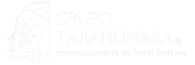 Grupo Tarahumara