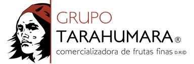 Grupo Tarahumara